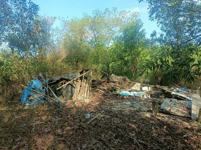  Khu vực rẫy xảy ra vụ việc 