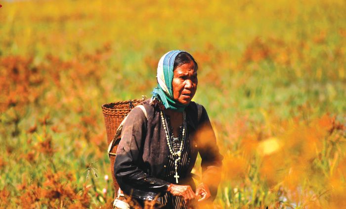 Người phụ nữ ở Đăk Tô (Kon Tum).