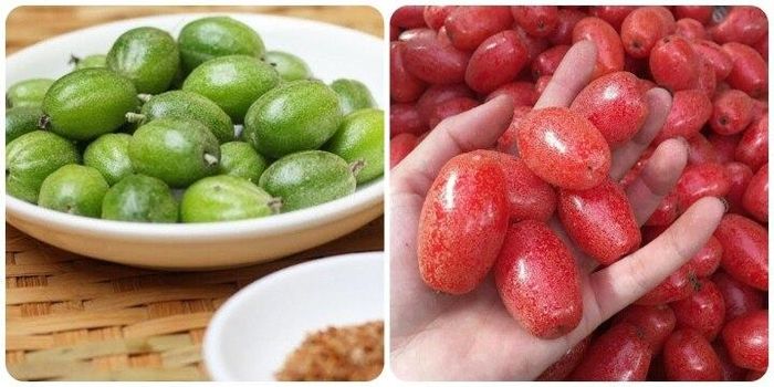 Ăn nhót có tốt không là vấn đề nhiều người quan tâm.