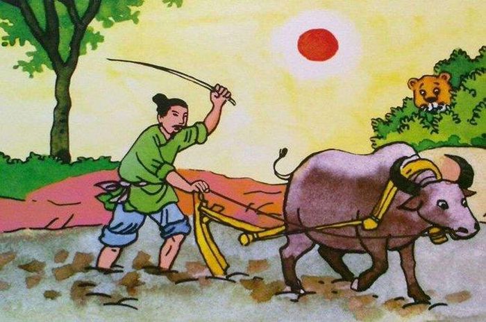 Tranh minh họa