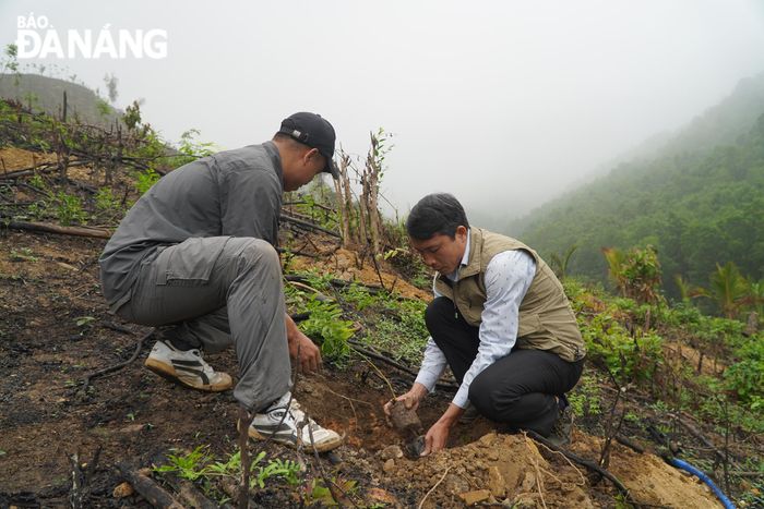 Cán bộ kỹ thuật của GreenViet hỗ trợ nông dân về kỹ thuật trồng cây gỗ lớn. Ảnh: VĂN HOÀNG