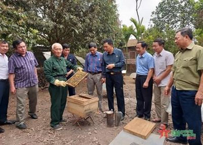 Lãnh đạo Hội Cựu chiến binh thành phố Hà Nội cùng lãnh đạo địa phương tham quan mô hình nuôi ong của cựu chiến binh Đinh Văn Thuộc.