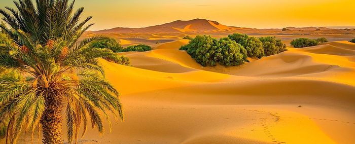 Điều này dẫn đến tình trạng khô hạn ở Sahara và nhiều khu vực khác trên thế giới.