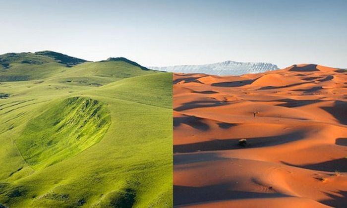 Tuy nhiên, không phải lúc nào Sahara cũng là một khu vực khô cằn để đóng vai trò là “sự sống chết của trái đất”. Trong quá khứ, Sahara từng được bao phủ bởi một cánh rừng xanh rậm rạp và là nơi sinh sống của nhiều loài động vật và thực vật.