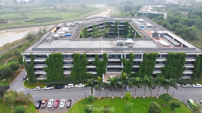 Tuy nhiên, trong nhiều năm qua, việc phát triển Khu này còn nhiều khó khăn, chưa đạt hiệu quả như mong muốn.