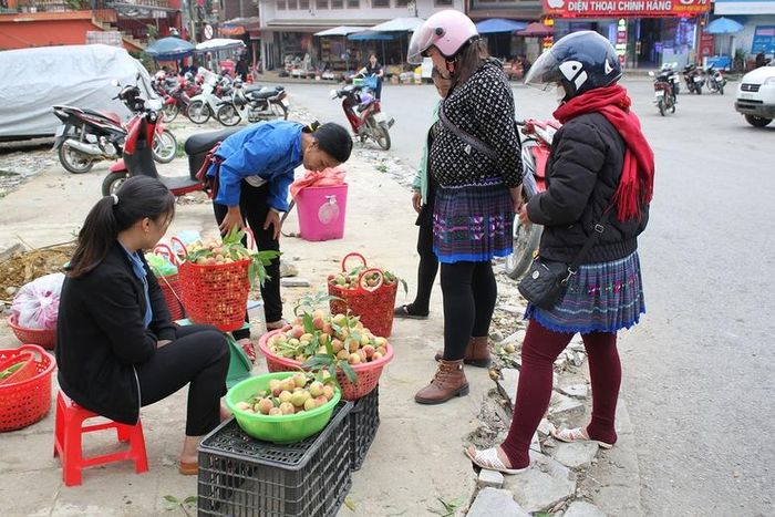 Giá bán đào quả năm nay khá ổn định.