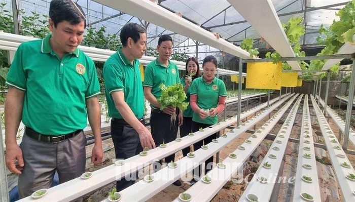 Anh Trần Văn Minh, Chủ tịch Hội Nông dân xã Kim Phú (đứng thứ 3 từ trái sang) đưa cán bộ Hội Nông dân thành phố và Hội Nông dân các xã, phường tham quan mô hình trồng rau thủy canh trong nhà lưới của hội viên Hoàng Mạnh Cường, thôn 11, xã KIm Phú.