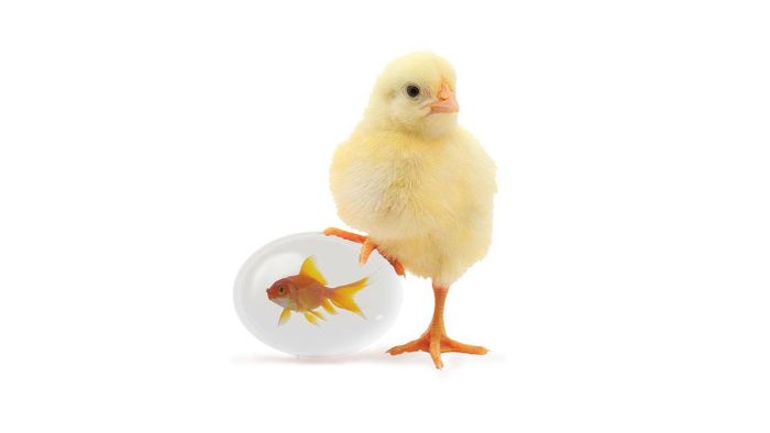 Tuổi Dậu: Công việc: cảm thấy bế tắc trong công việc. Tài vận: tình tài chính không ổn định. Tình cảm: nên dành thời gian để hâm nóng tình cảm.