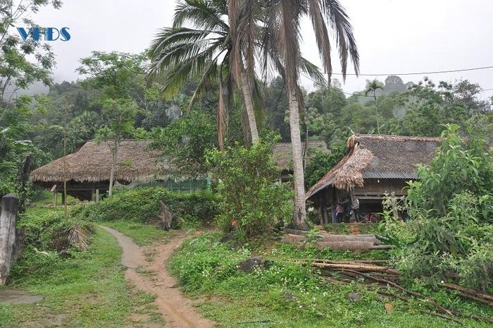 Những nếp nhà sàn của đồng bào dân tộc Thái được giữ gìn là nét đẹp văn hóa của vùng đất.
