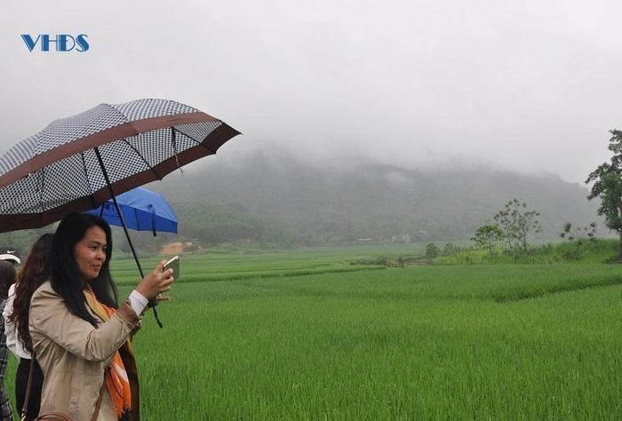 Khu phố Tiến Sơn 1, thị trấn Thường Xuân, nơi sinh sống của 100% đồng bào dân tộc Thái có những thửa ruộng bậc thang xanh mướt là điểm dừng chân của nhiều du khách.