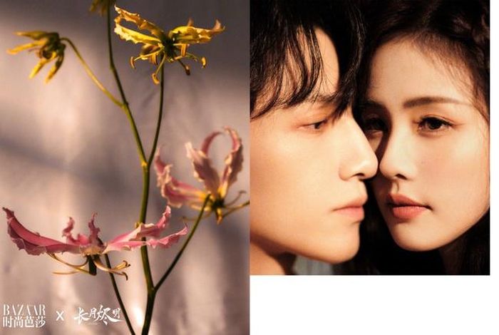 (Ảnh: Harper's Bazaar)