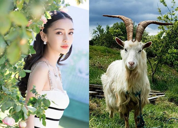 Người tuổi Mùi nhẹ nhàng, lương thiện, luôn chân thành với mọi người, không tính toán so đo thiệt hơn nên được nhiều người quý mến.
