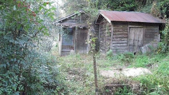 Hai căn nhà hoang mà Kajiyama tiếp quản.