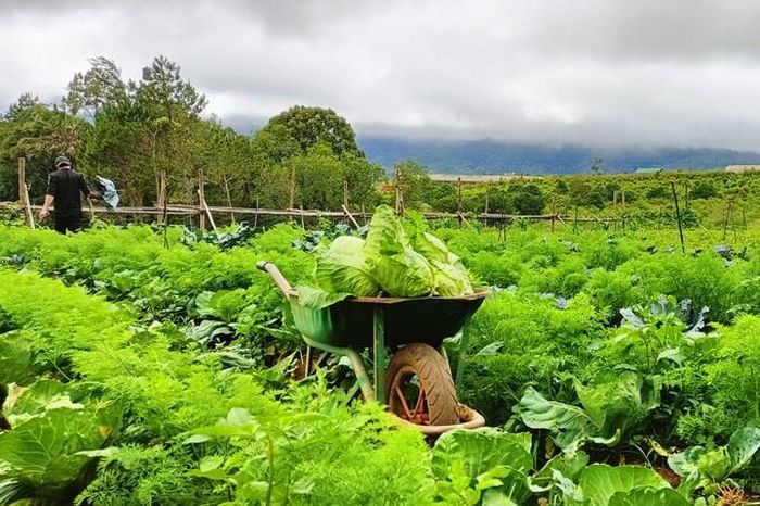 10 năm qua, với sự miệt mài, kiên trì, Vũ và các cộng sự đã tạo ra sự khác biệt của sản phẩm 