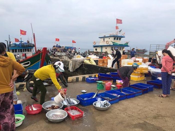 Bến cá trên đảo.