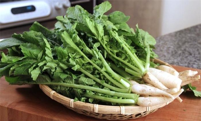 Cách muối dưa củ cải ngon cũng tương tự cách làm dưa cải bẹ hay bắp cải.