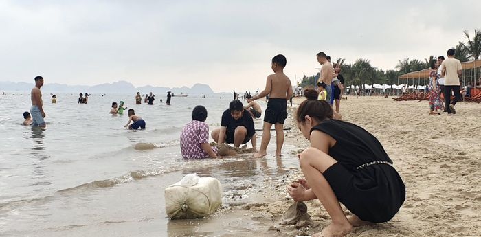 Việc xuất hiện phao xốp và các loại rác thải dạt vào bờ biển Bãi Cháy khiến người dân, du khách mất thiện cảm với thành phố du lịch Hạ Long.