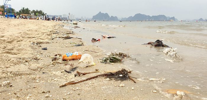 Phao xốp và các loại rác thải dạt vào bờ biển Bãi Cháy.