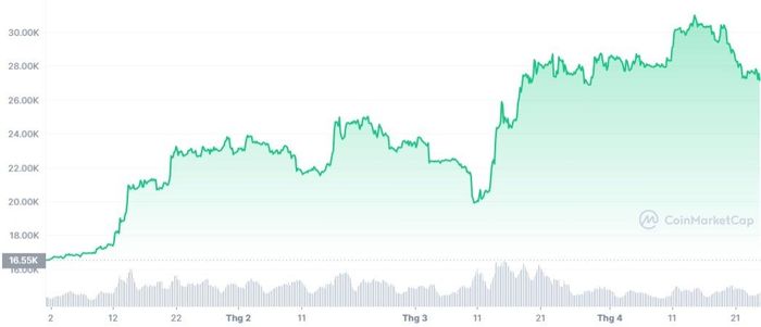 Biến động của giá Bitcoin kể từ đầu năm. Ảnh: CoinMarketCap.