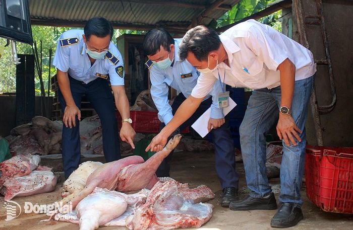 Số thịt heo bị đoàn kiểm tra phát hiện