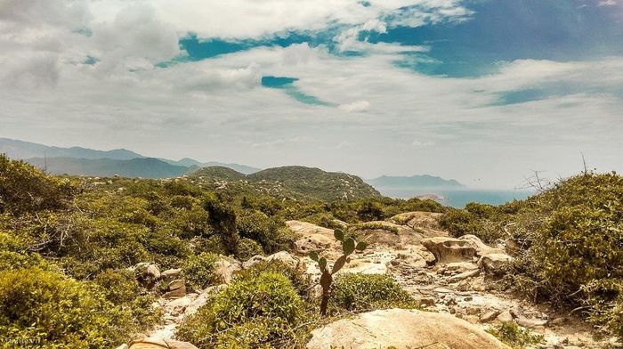  Nếu bạn yêu thích hoạt động trekking, vườn quốc gia Núi Chúa sẽ là một nơi hoàn hảo dành cho bạn. Ảnh: Along Walker. 