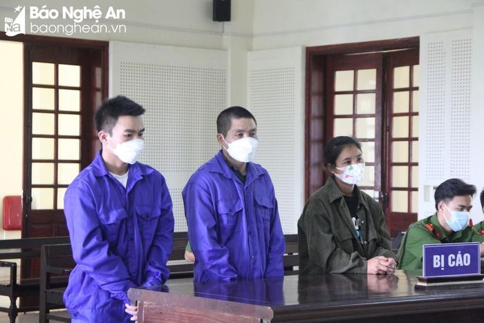 3 bị cáo tại phiên tòa. Ảnh: Trần Vũ