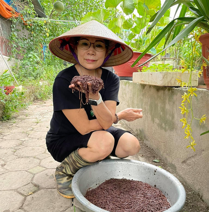  Nữ cựu chiến binh về hưu khởi nghiệp bằng giun quế đã được 18 năm. Ảnh nhân vật cung cấp 