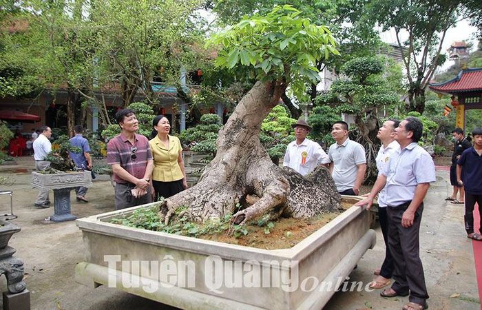 Đông đảo nhân dân và du khách tham quan triển lãm sinh vật cảnh.