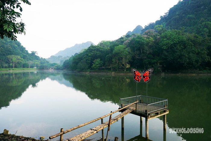 Cách Hà Nội khoảng 120 km về phía tây nam, vườn quốc gia Cúc Phương nằm trên địa phận 3 tỉnh Ninh Bình, Thanh Hóa, Hòa Bình, việc di chuyển tới đây khá thuận lợi.