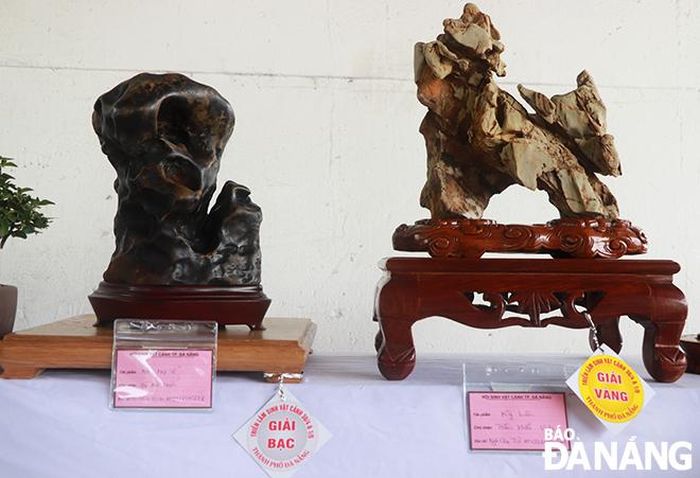 Các tác phẩm đá cảnh đoạt giải nhất và nhì tại hội thi, triển lãm sinh vật cảnh năm 2023. Ảnh: X.D