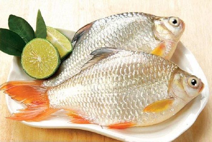Cá là thực phẩm lành mạnh và cung cấp nhiều chất dinh dưỡng có lợi cho sức khỏe con người. Nguồn ảnh: Internet