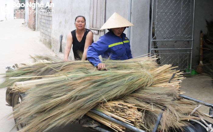 Xóm 2, xã Thanh Lương (Thanh Chương) hiện có khoảng 50 hộ duy trì nghề làm chổi đót. Nguyên liệu chính để làm chổi là hoa đót, có thể do các hộ dân tự đi lấy từ trên rừng hoặc mua của lái buôn đem về từ các huyện miền Tây Nghệ An, Lào và các tỉnh miền Nam. Người dân làm nghề thường mua hoa đót phơi khô, cất giữ dùng dần. Hiện hoa đót khô đang được các hộ mua với giá 25.000 - 26.000 đồng/kg. Ảnh: Huy Thư