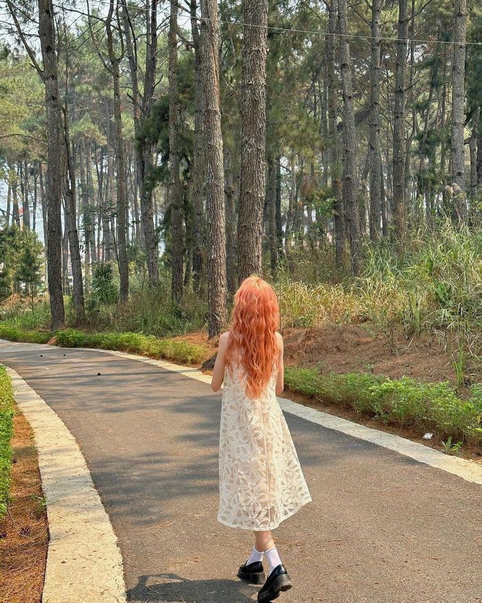 Ảnh: Mèo sao hỏa.