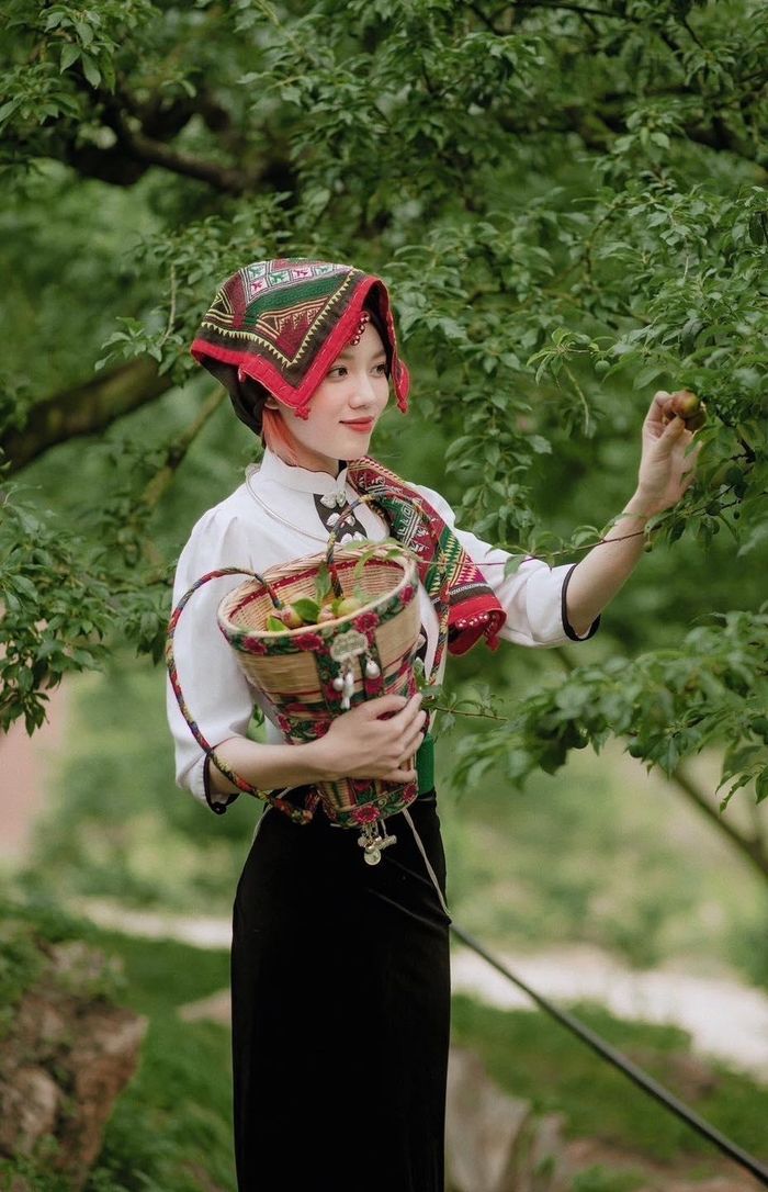 Ảnh: Mèo sao hỏa.