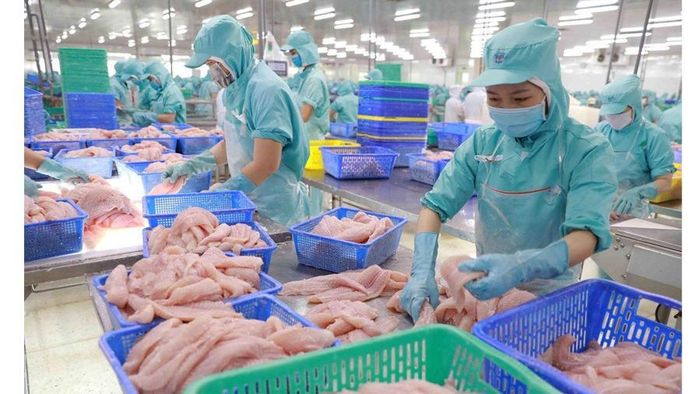 Mặt hàng thủy sản Việt Nam chịu sự cạnh tranh lớn từ các thị trường Ecuador, Indonesia, Ấn Độ. Ảnh: Tuấn Phong