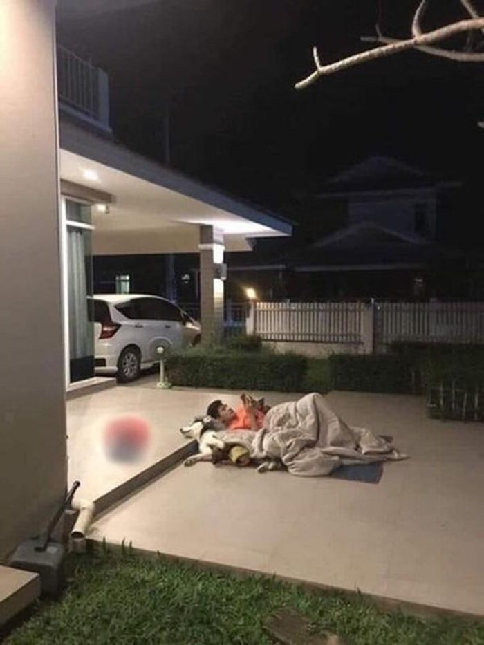 Chỉ vì cãi nhau với vợ mà cả chủ và chó ra sân ngủ.