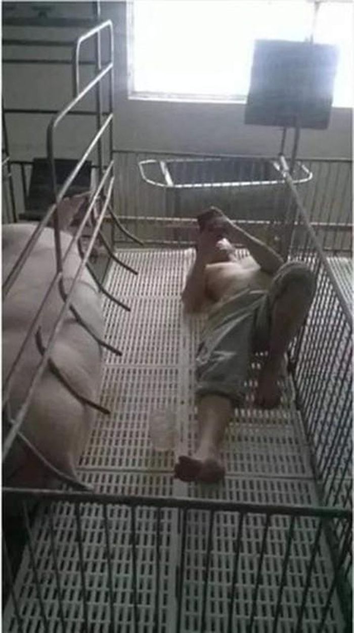 Cụ thể, trên một diễn đàn thu hút tới gần 1 triệu người theo dõi các thành viên bình luận sôi nổi trước loạt ảnh những ông chồng cãi nhau với vợ và nhận cái kết không thể lạnh lẽo hơn.