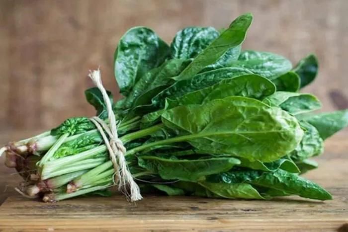 Cải bó xôi: Hàm lượng vitamin C cao trong cải bó xôi giúp tăng cường sản xuất collagen để giữ cho làn da săn chắc và mịn màng. Vitamin A mà loại rau này cung cấp có thể thúc đẩy tóc chắc khỏe và bóng mượt, trong khi vitamin K đã được khoa học chứng minh là giúp giảm viêm trong tế bào. Ảnh minh họa