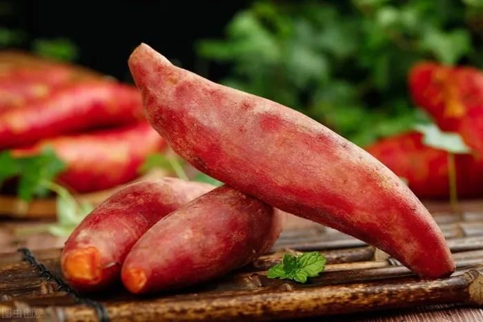 Khoai lang: Màu cam của khoai lang đến từ một chất chống oxy hóa được gọi là beta-carotene sẽ được chuyển hóa thành vitamin A. Nguồn vitamin A này có thể giúp khôi phục độ đàn hồi của da, đồng thời thúc đẩy sự thay đổi tế bào da và góp phần mang lại làn da mềm mại, trẻ trung. Ảnh minh họa