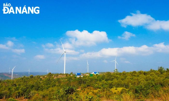Cánh đồng điện gió trên đường vào Yok Đôn.