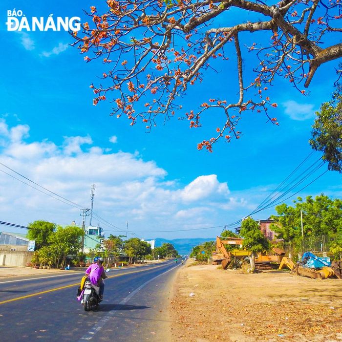 Đường vào Vườn quốc gia Yok Đôn.