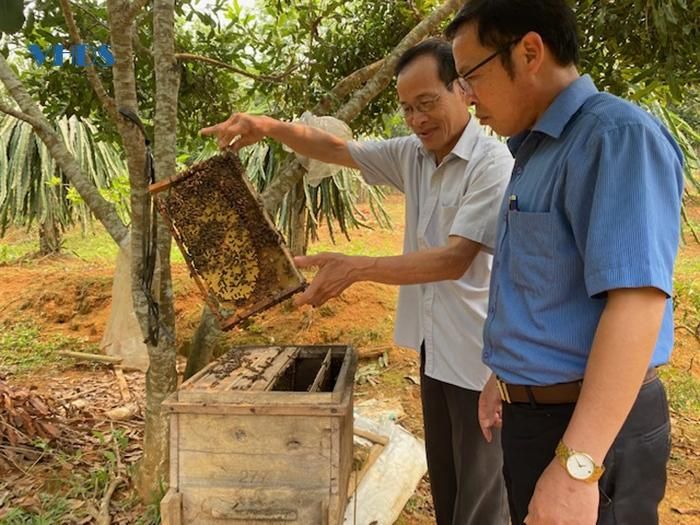 Ông Bùi Văn Soạn ở thôn Hùng Vĩnh, xã Cẩm Phú giới thiệu kinh nghiệm nuôi ong.