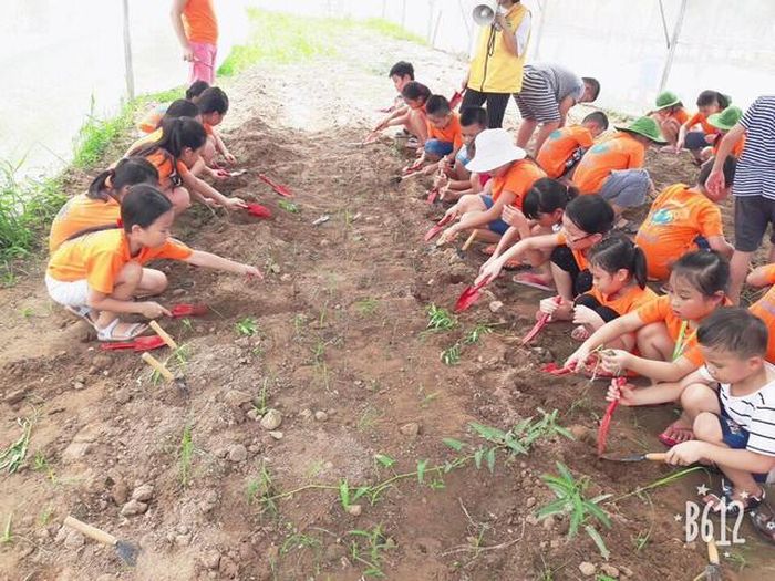 Trẻ tham gia các hoạt động kĩ năng. Ảnh minh họa