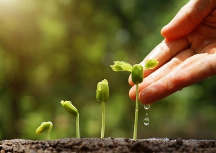 Chúng ta nên sống với tình yêu thương. Ảnh: istockphoto.