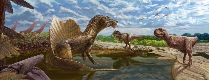 Trong số này, loài khủng long ăn thịt Troodon với bộ não cực lớn có thể là tổ tiên của những loài khủng long thông minh. Ông cho rằng, sống sót sau thảm kịch vào khoảng 66 triệu năm trước, khủng long sẽ có thể có bộ não phức tạp và tiến hóa thành loài vật thông minh giống con người. Nhờ đó, chúng có thể tồn tại đến ngày nay.