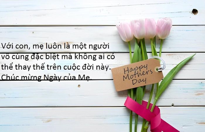 (Tổng hợp)