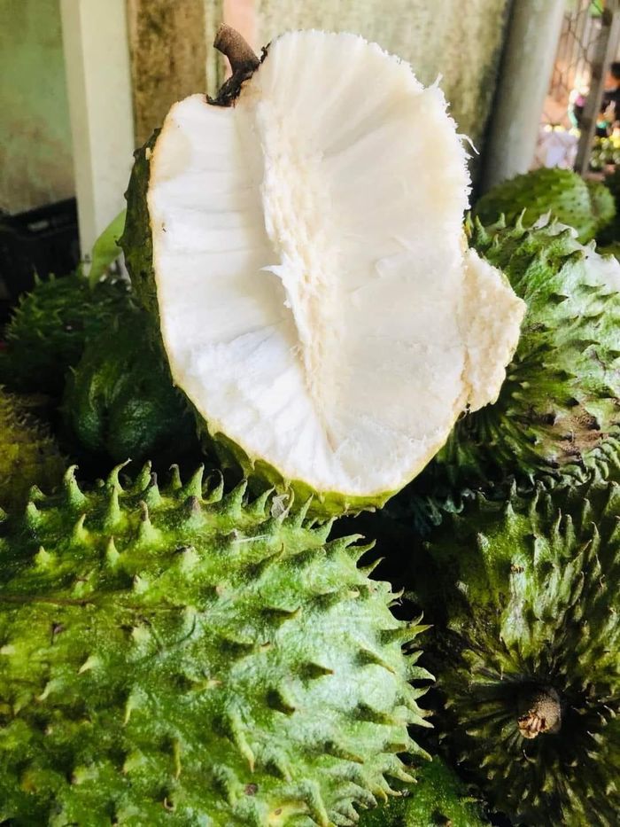 Mãng cầu xanh liên tục cháy hàng do nhiều người tìm mua làm món trà mãng cầu (Ảnh: Ngoc Ha).