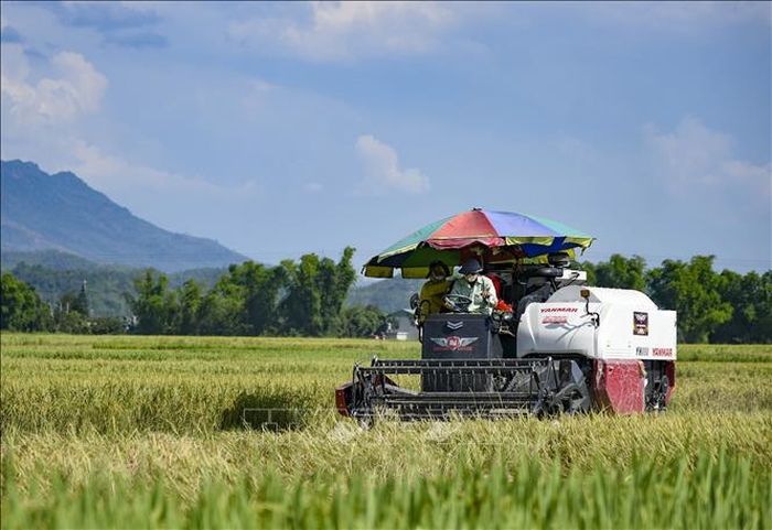 Máy gặt được sử dụng để giảm sức lao động cho người dân.