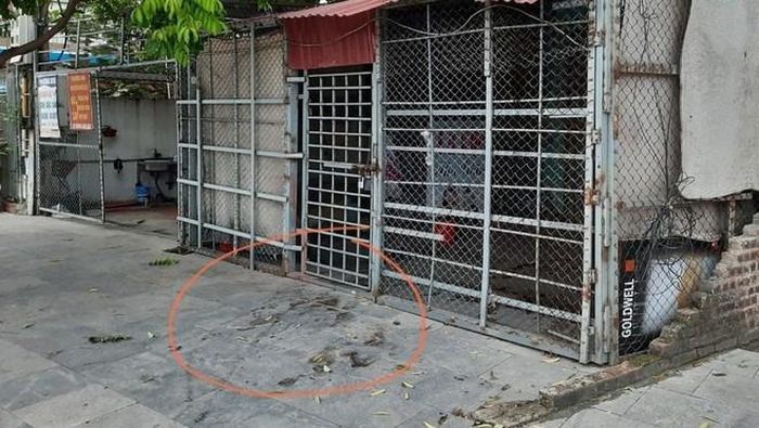 Hiện trường vụ nữ nhân viên quán cà phê thư giãn bị đâm tử vong