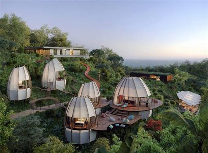 Airbnb độc đáo ở Costa Rica sẽ tạo nên chuyến đi với những kỷ niệm đáng nhớ
